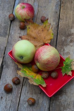 Olgun, tatlı elma sonbaharda hasat ve düşen yapraklar