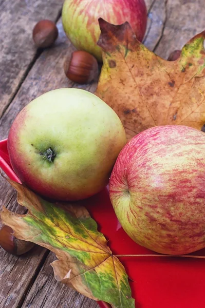 Спелые, сладкие яблоки осенний урожай и опавшие листья — стоковое фото