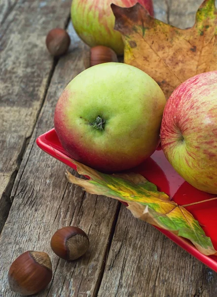 Яблоко и красное блюдце с фундуком — стоковое фото