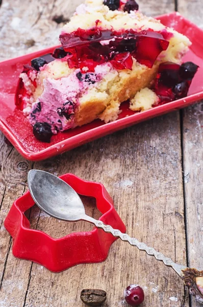 Ciasto owocowe domowej roboty — Zdjęcie stockowe