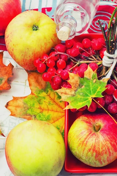 Apples and bunch of viburnum — Stock Photo, Image