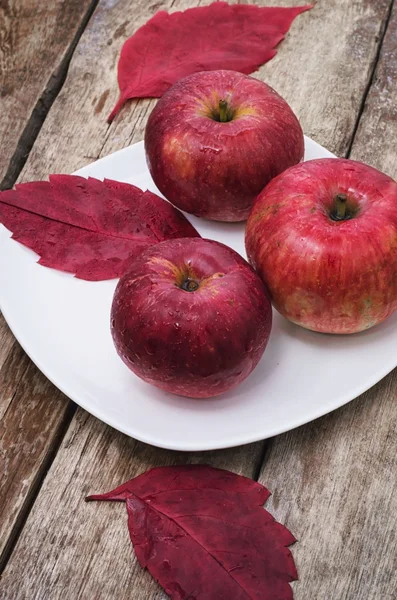Три спелых сорта яблок осенью — стоковое фото