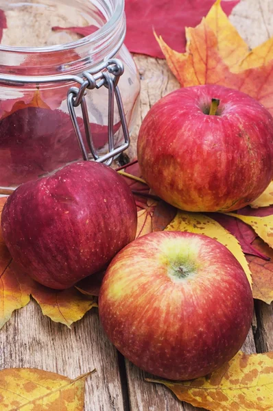 Three ripe apple autumn varieties — Stock Photo, Image