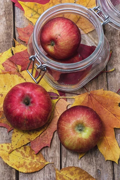 Three ripe apple autumn varieties — Stock Photo, Image