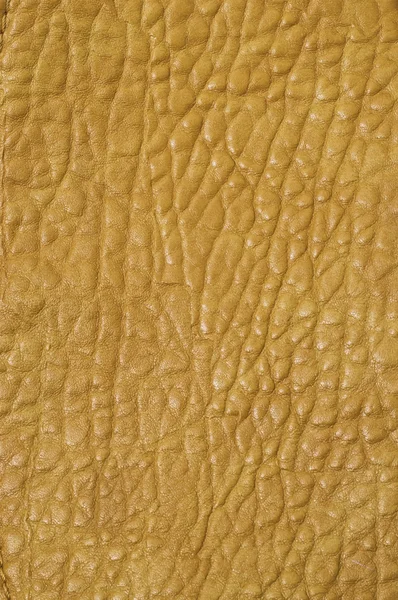 Gele huid — Stockfoto