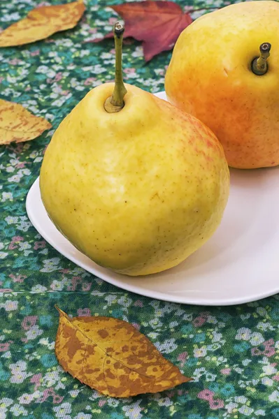 Délicieuse poire du jardin — Photo