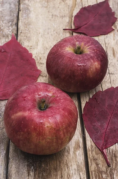 Sweet apple — Stock Photo, Image