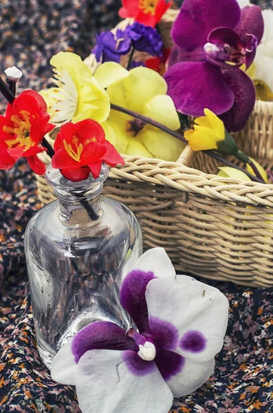 Korg med blommor — Stockfoto