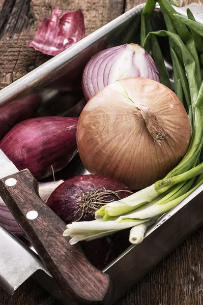 Onions — Stock Photo, Image