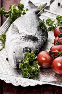 Akdeniz balık incelik dorado