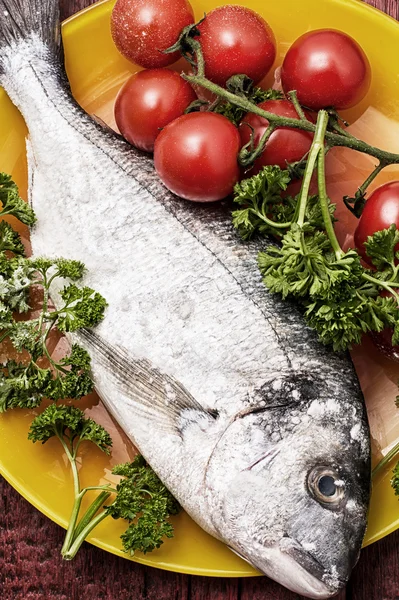 Mediterranean fish delicacy Dorado — Stock Photo, Image