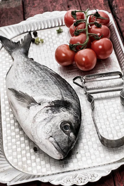Mediterranean fish delicacy Dorado — Stock Photo, Image