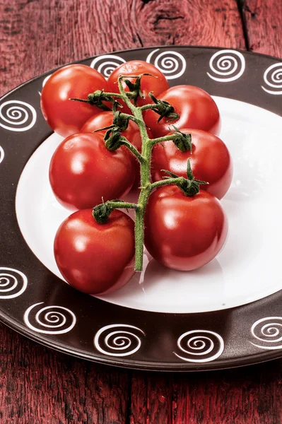 Tomaatit oksilla — kuvapankkivalokuva