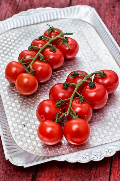 Tomatoes on branches — Stock Photo, Image