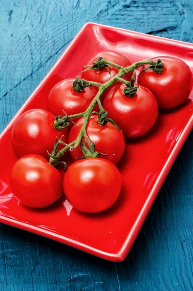 Tomatoes on branches — Stock Photo, Image