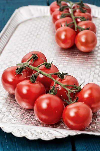 Tomatoes on branches — Stock Photo, Image