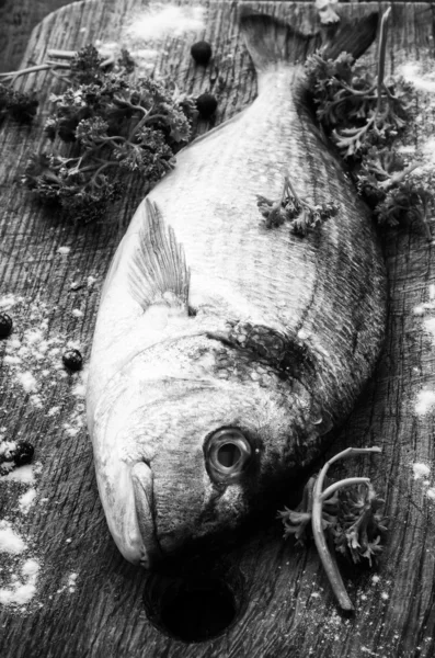 Ikan mentah — Stok Foto