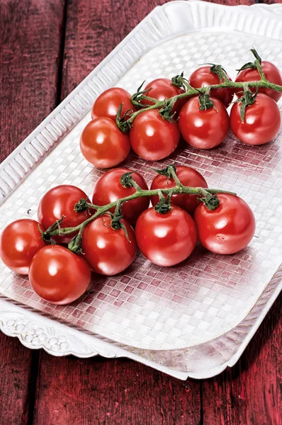 Fresh tomatoes on branches — Stock Photo, Image