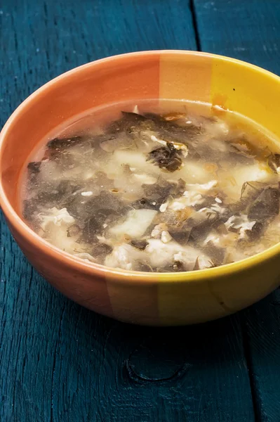 Vegetable broth — Stock Image Vegetable broth Stock Photo