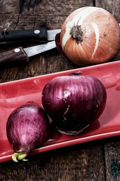 Zwiebeln — Stockfoto