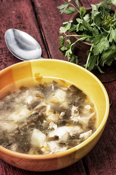 Zupa ze świeżych warzyw — Zdjęcie stockowe
