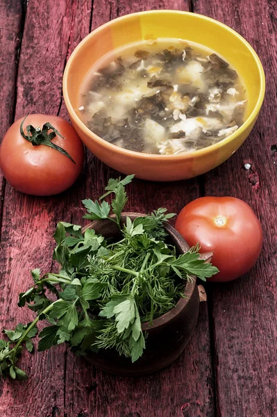 Soup with fresh vegetables — Stock Photo, Image
