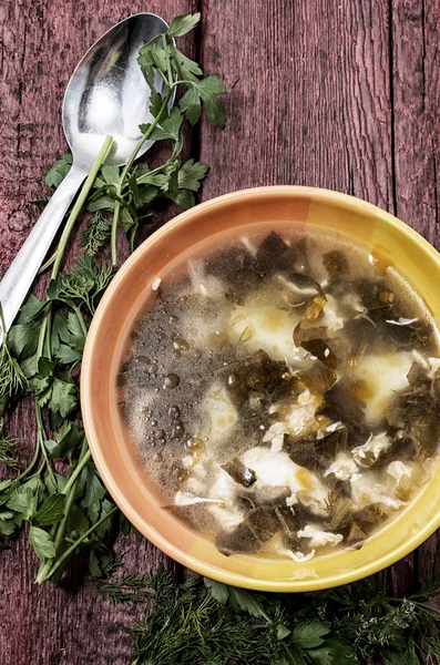 Suppe mit frischem Gemüse — Stockfoto