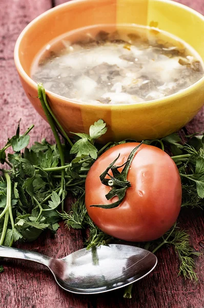 Soup with fresh vegetables — Stock Photo, Image