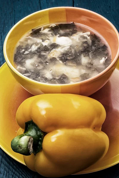 Σούπα με φρέσκα λαχανικά — Φωτογραφία Αρχείου