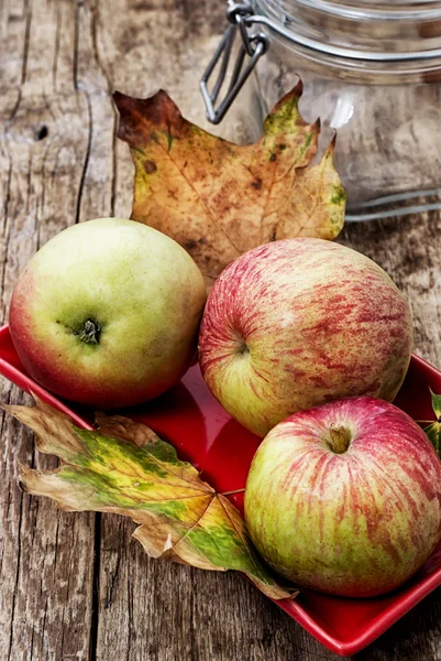 Apple — Stock Photo, Image