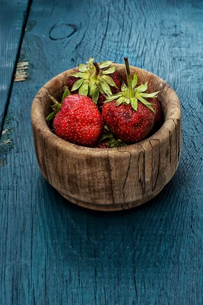 Fresh plucked berries are juicy strawberries — Stock Photo, Image