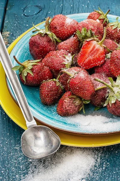 Trhal plody jsou šťavnaté jahody — Stock fotografie