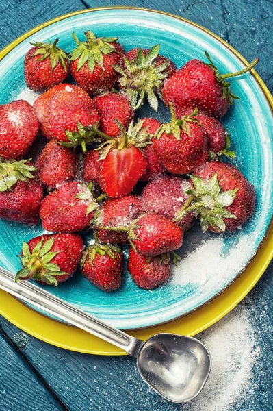 Trhal plody jsou šťavnaté jahody — Stock fotografie