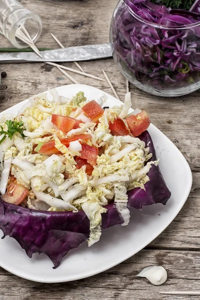 Salade van verse kool — Stockfoto