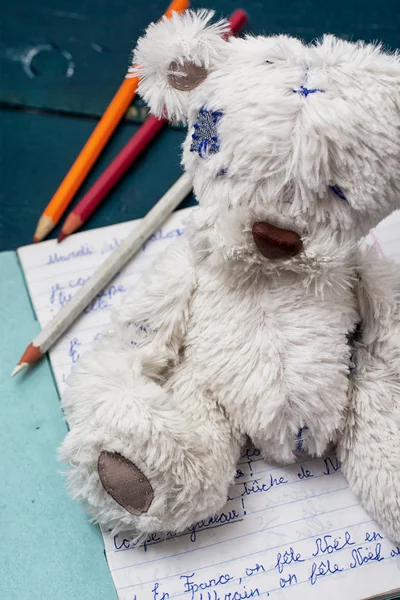 Ours en peluche et carnet scolaire — Photo