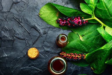 Lakonos tentürü, bitkisel ilaçlar. Yaban bitkisi, bitki örtüsü. Kopyalama alanı, metin alanı.