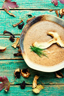 Ev yapımı mantar kremalı çorba. Geleneksel sonbahar çorbası.