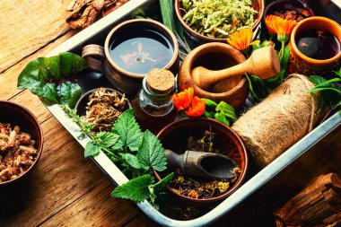 Alternatif ilaçlarda şifalı bitkiler, bitkiler ve kökler. Bitkisel ilaçlar, ahşap arka plan.