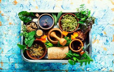 Alternatif ilaçlarda şifalı bitkiler, bitkiler ve kökler. Bitkisel ilaçlar.