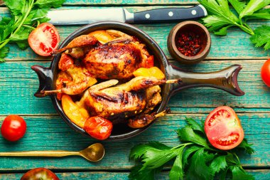 Domates sosunda pişirilmiş bıldırcın. Haşlanmış bıldırcın..