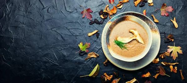 自家製キノコクリームスープ 伝統的な秋のスープ テキストのためのスペース — ストック写真