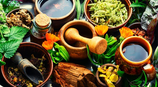 Geneeskrachtige Kruiden Planten Wortels Kruidengeneeskunde Geneeskrachtige Kruiden Geneeskrachtige Planten — Stockfoto