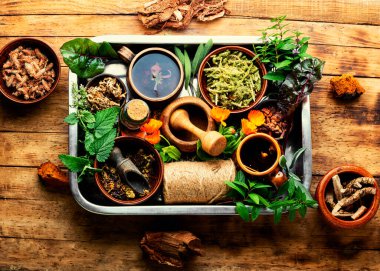 Çeşitli taze ve kuru şifalı bitkiler. Tepside bitkisel ilaçlar.