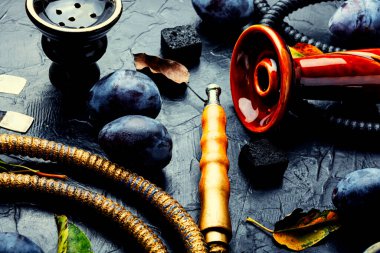 Erik aromalı tütünle nargile içiyorum. Meyve shisha.