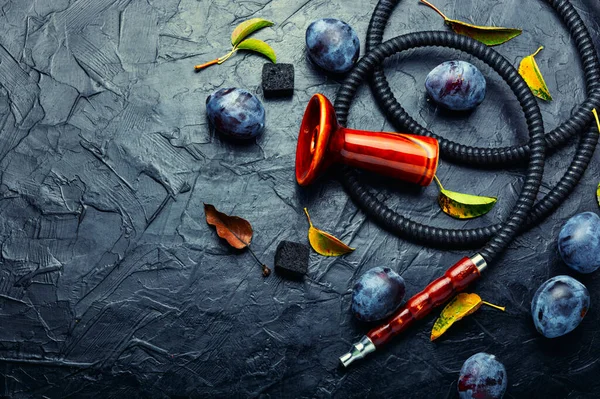 Erik aromalı tütünle nargile içmek. Meyve shisha, kopyalama alanı.