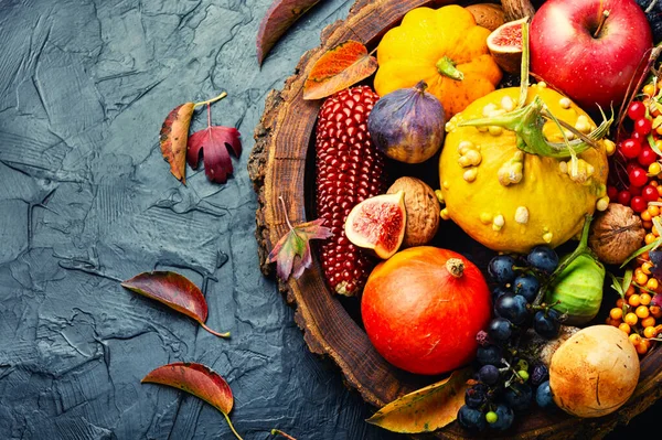 Herbstliches Obst Gemüse Und Beeren Platz Für Text — Stockfoto