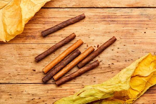 Cigarillos Dry Tobacco Leaf Tobacco Smoking Concept — Stock Photo, Image