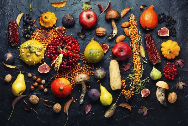 Colección Frutas Verduras Berries Autumn Naturaleza Concept Vegan Alimentos —  Fotos de Stock