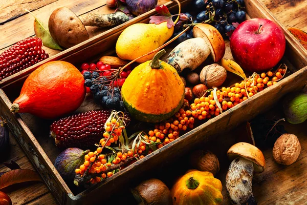 カボチャ キノコ リンゴ イチジク 果実の秋の静物画 秋の食べ物 — ストック写真