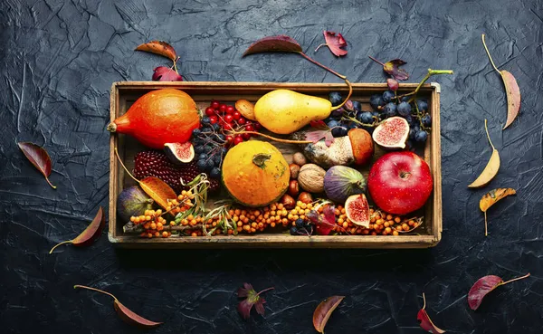 Sonbahar, balkabakları, mantarlar, elmalar, incirler ve meyvelerle dolu. Mevsimlik yiyecekler.